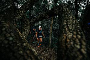 BIB: 
                            <button type="button" onclick="openModal(25677037)" class="btn btn-primary btn-sm float-right btn-popup" data-toggle="modal" data-target=".modal-high-quality">
                        <i class="fas fa-shopping-cart"></i> Add to Cart
                    </button>
                                            <button type="button" onclick="isThisMe(25677037, true)" class="btn btn-success btn-sm float-right btn-popup btn-isme hidden" data-toggle="tooltip" data-placement="bottom" title="นี่คือรูปของคุณใช่ไหม คลิกที่นี่เพื่อเอาเข้าอัลบั้ม">
                        <i class="fas fa-plus"></i> Add to album
                    </button>
                    <button type="button" onclick="isThisMe(25677037, false)" class="btn btn-warning btn-sm float-right btn-popup btn-isnotme hidden">
                        <i class="fas fa-ban"></i> Remove from album
                    </button>